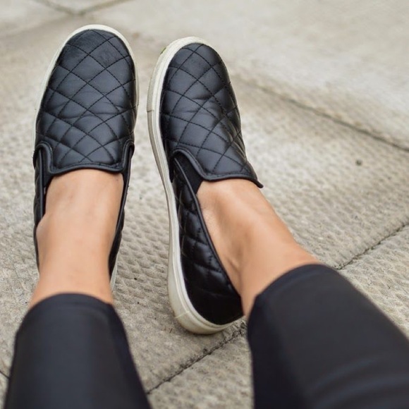 Steven Madden Ecentrcq Slip-On Shoe - Picture 1 of 3